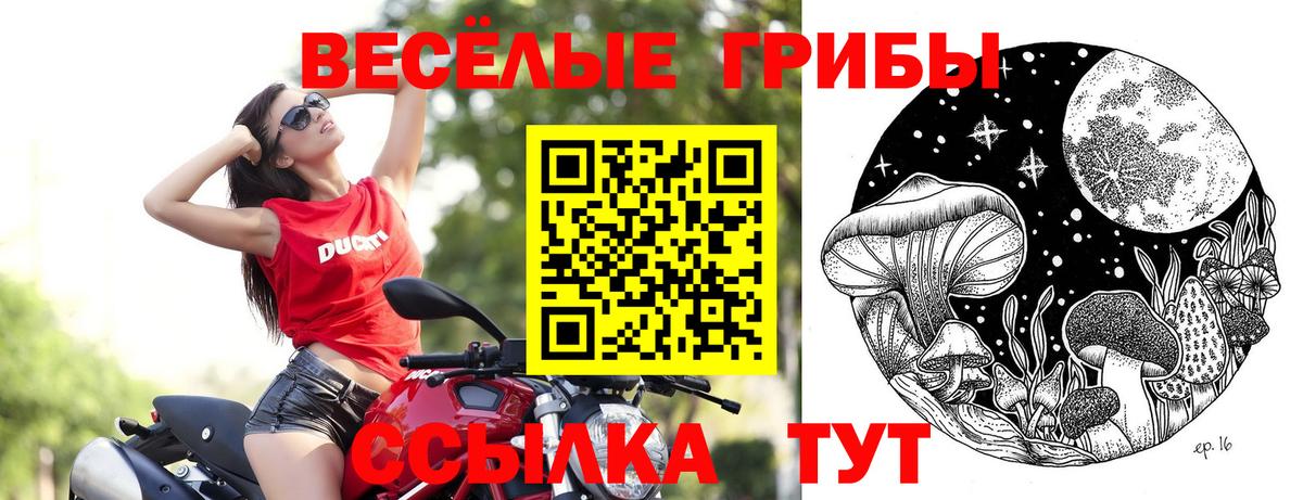 Бугуруслан  Галлюциногенные грибы Psilocybine cubensis  Вход с VPN  Галлюциногенные грибы прущие грибы 